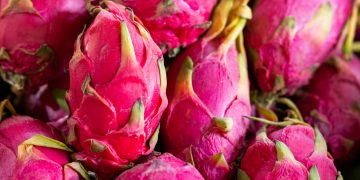 a pile of pink dragon fruit sitting on top of a table