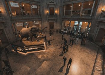 a group of people standing around an elephant statue