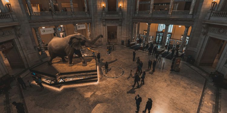 a group of people standing around an elephant statue