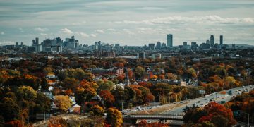 aerial photography of trees and buildings in the city