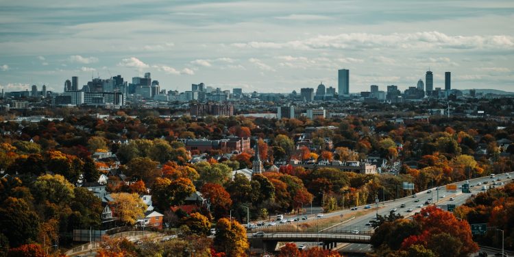 aerial photography of trees and buildings in the city